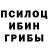 Галлюциногенные грибы GOLDEN TEACHER Arkady The_Light