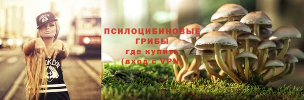 a pvp Козловка
