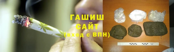 гидра Каменногорск