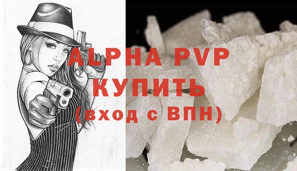 гидра Каменногорск
