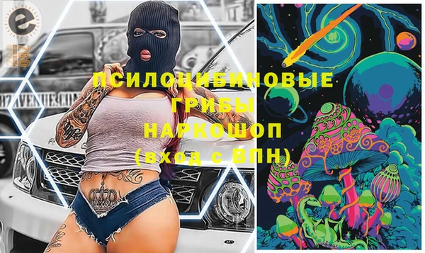 a pvp Козловка