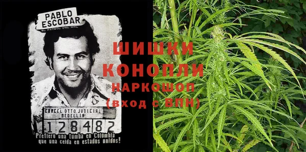 амф Инсар