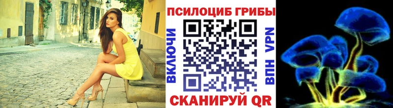 Галлюциногенные грибы MAGIC MUSHROOMS  Купить где  Катайск 